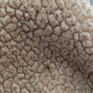 Meet your Posher, Daniela